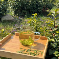 Anji White Tea (Anji Bai Cha)