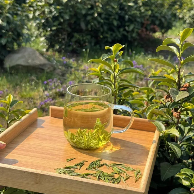 Anji White Tea (Anji Bai Cha)