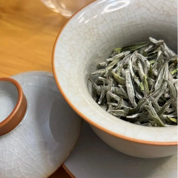 Fujian Silver Needle White Tea