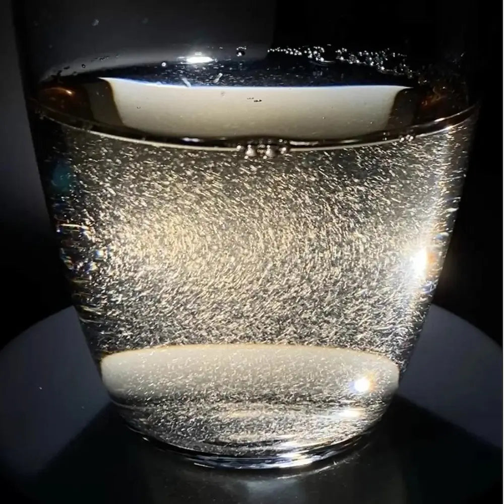 2025 Silver Needle White Tea Cake