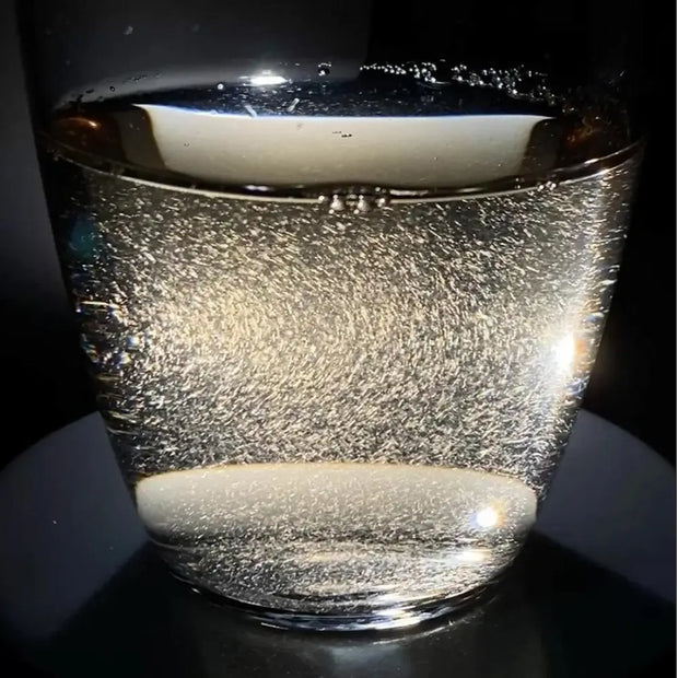 2025 Silver Needle White Tea Cake