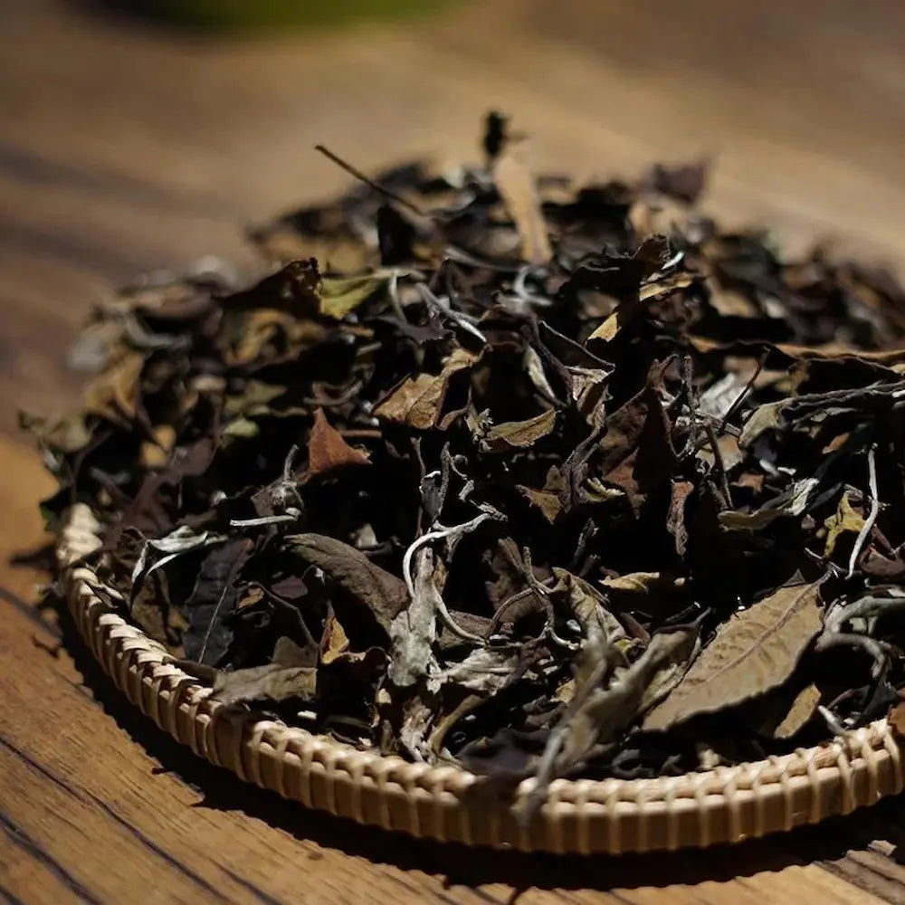 2024 Moon Garden White Tea Cake