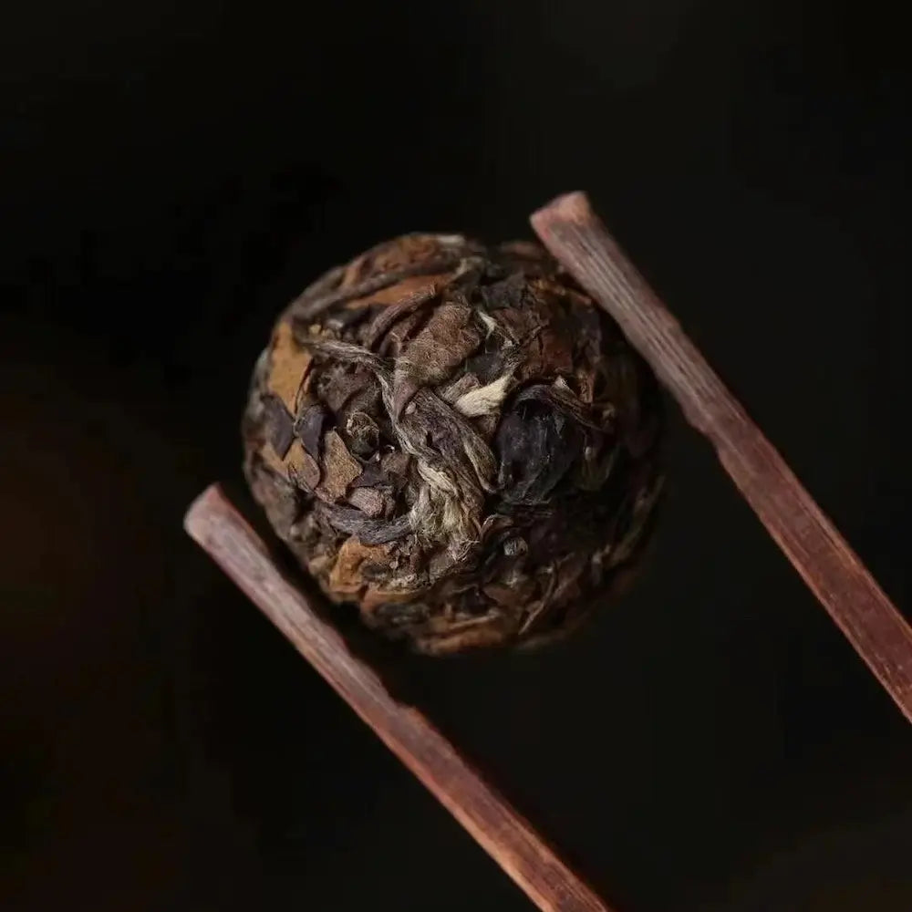 2010 Fuding Shou Mei White Tea Cake