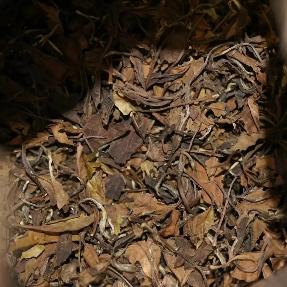 2010 Fuding Shou Mei White Tea Cake