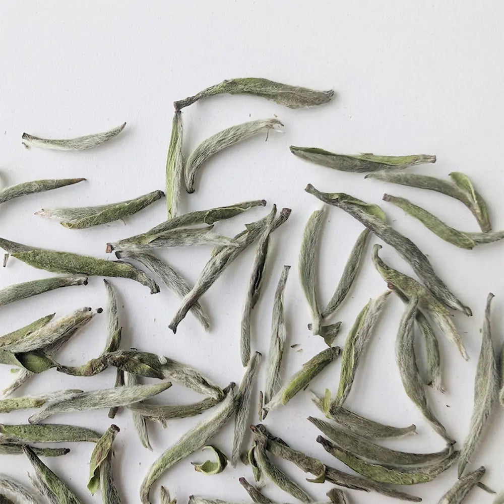 Fujian Silver Needle White Tea