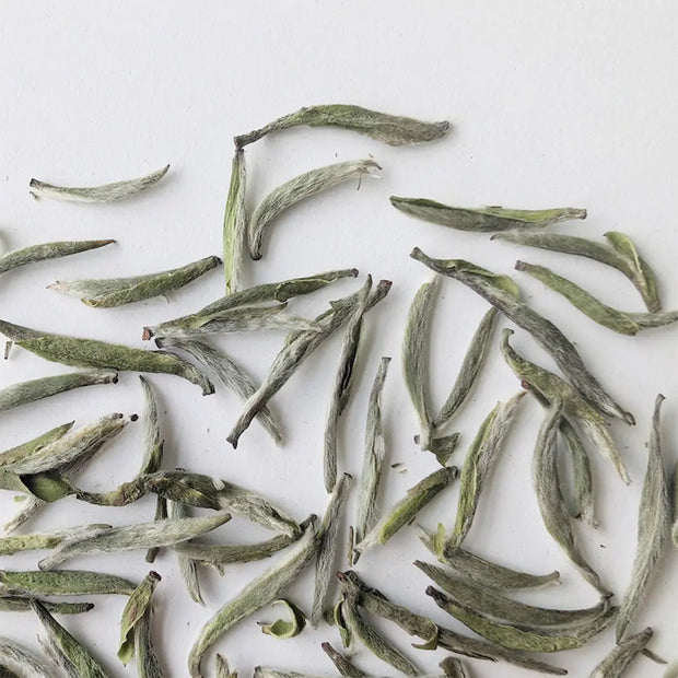 Fujian Silver Needle White Tea