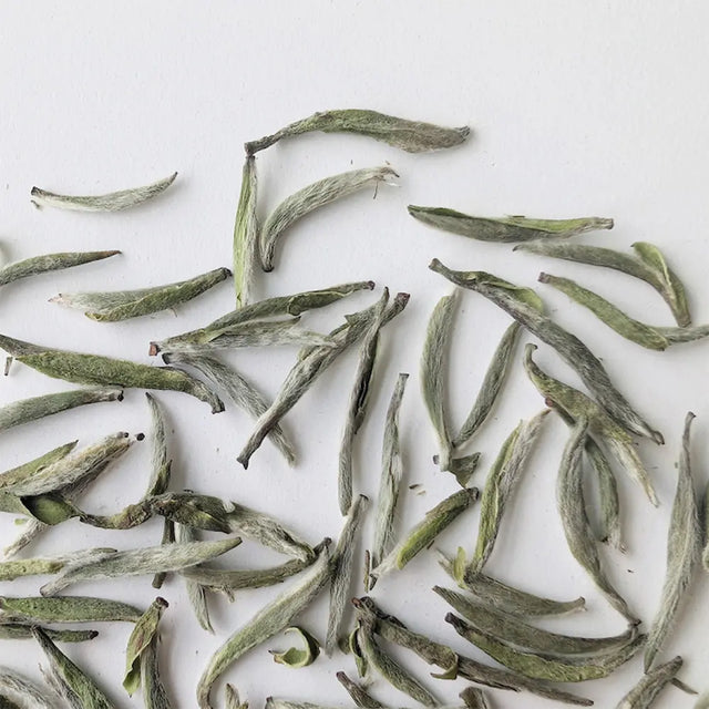 Fujian Silver Needle White Tea