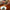 2019 Yue Guang Bai Tea Balls (Moonlight White)