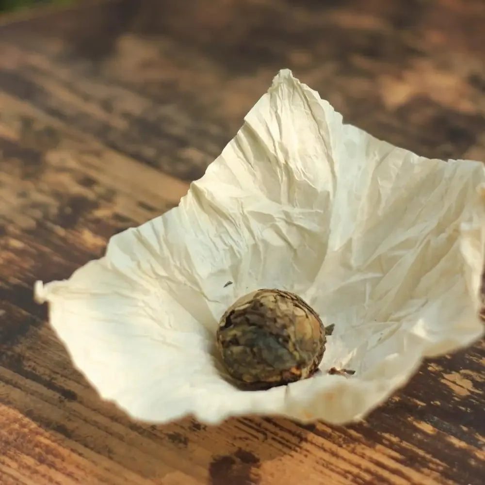 2010 Fuding Shou Mei White Tea Cake