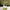 Zhu Ye Qing Green Tea – Bamboo Leaf Green