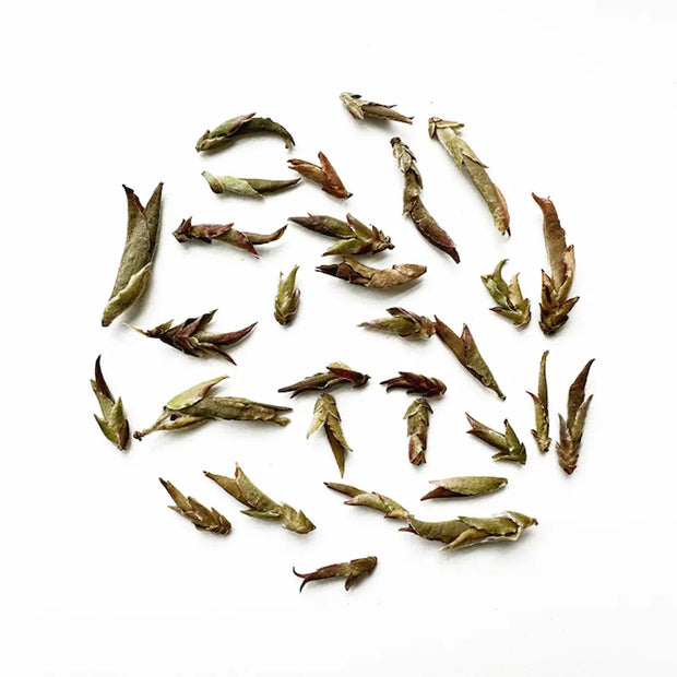 Wild Purple Yabao Tea (Da Xue Mountain)