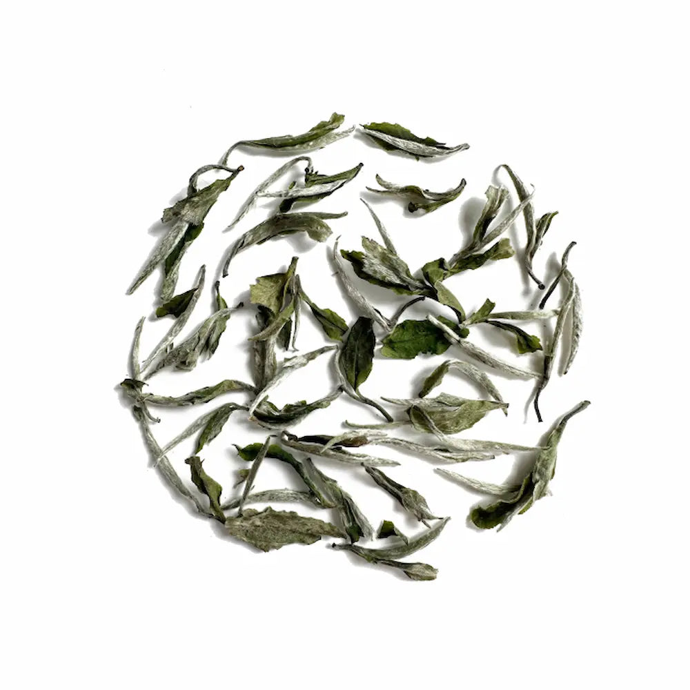 White Peony (Bai Mu Dan) White Tea