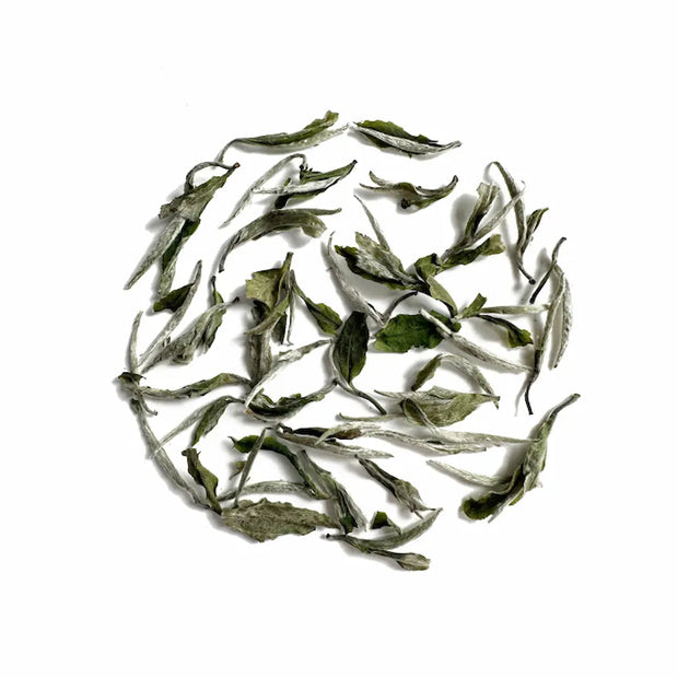 White Peony (Bai Mu Dan) White Tea