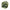 Tai Ping Hou Kui Green Tea