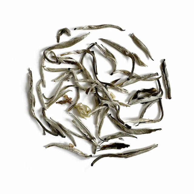 Jasmine Silver Needle White Tea